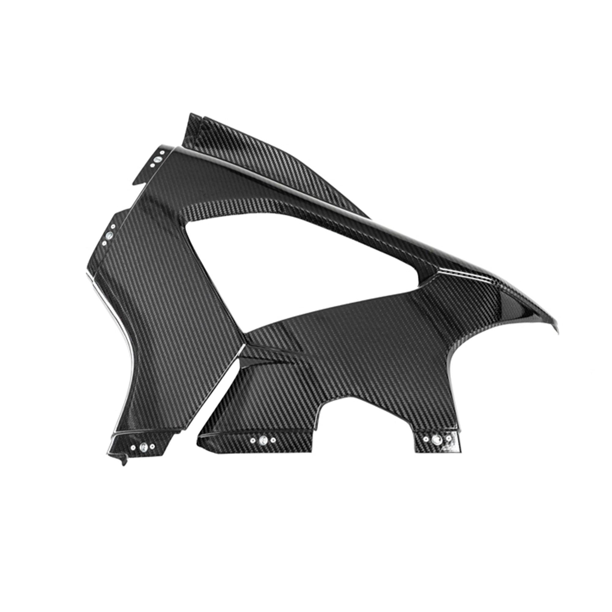 Ilmberger Carbon - Fairing Left Side Panel